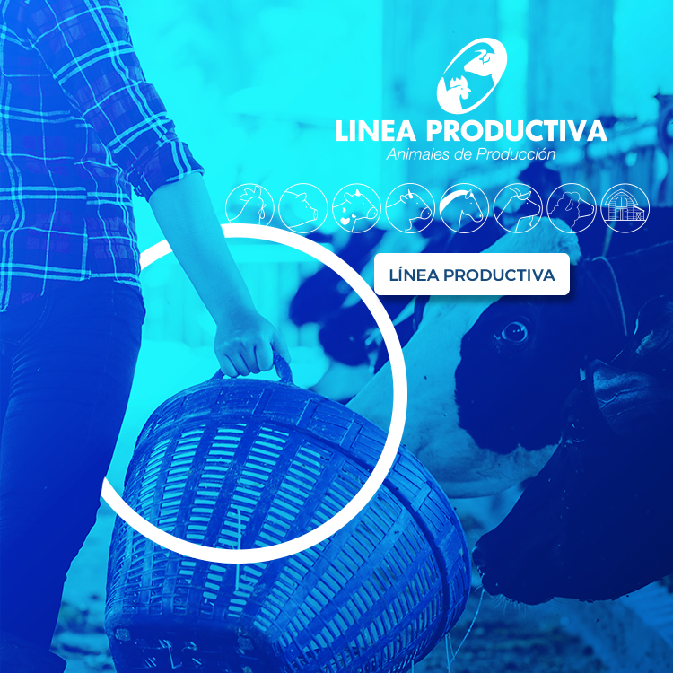 Línea Productiva